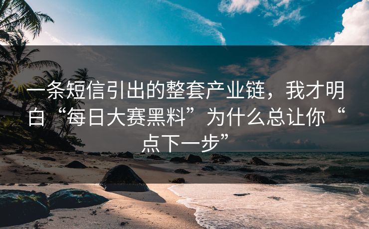 一条短信引出的整套产业链，我才明白“每日大赛黑料”为什么总让你“点下一步”