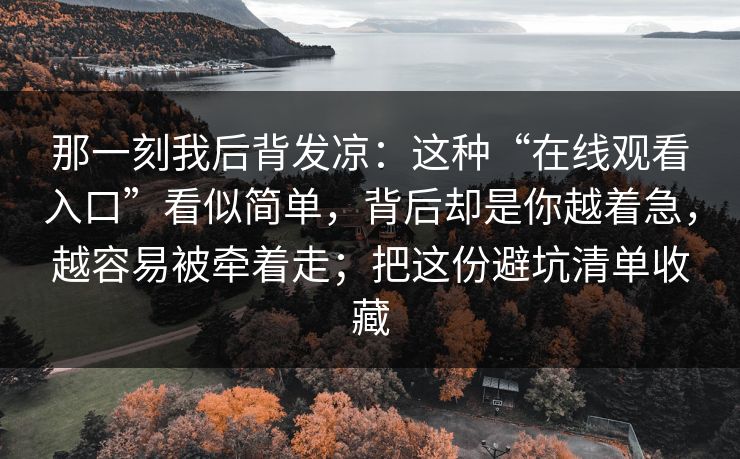 那一刻我后背发凉：这种“在线观看入口”看似简单，背后却是你越着急，越容易被牵着走；把这份避坑清单收藏
