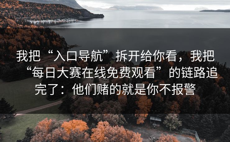 我把“入口导航”拆开给你看，我把“每日大赛在线免费观看”的链路追完了：他们赌的就是你不报警