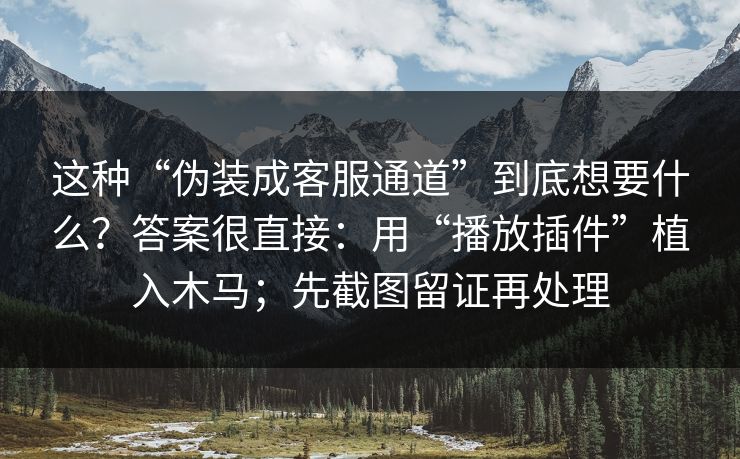 这种“伪装成客服通道”到底想要什么？答案很直接：用“播放插件”植入木马；先截图留证再处理  第1张